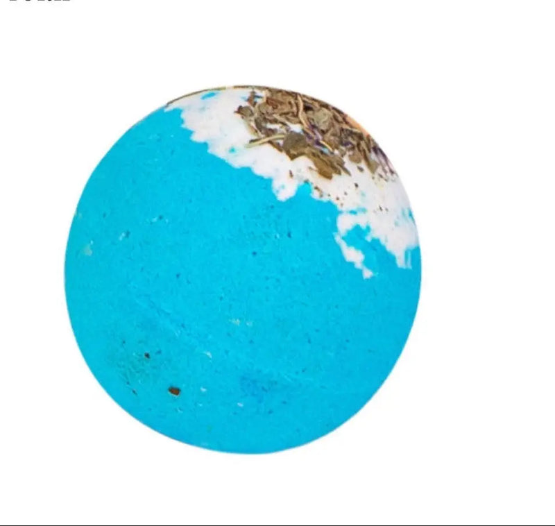 Grooming Cocoa The Trendy Pet