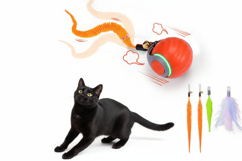 BABORUI Interactive Cat Toy Ball - Automatic Interactive Cat Toys for Indoor Cats with 3 Tails, 2 Speeds Rechargeable Cat Enrichment Toys for Small/Medium/Large Cats to Keep Them Busy(Blue) Cocoa The Trendy Pet